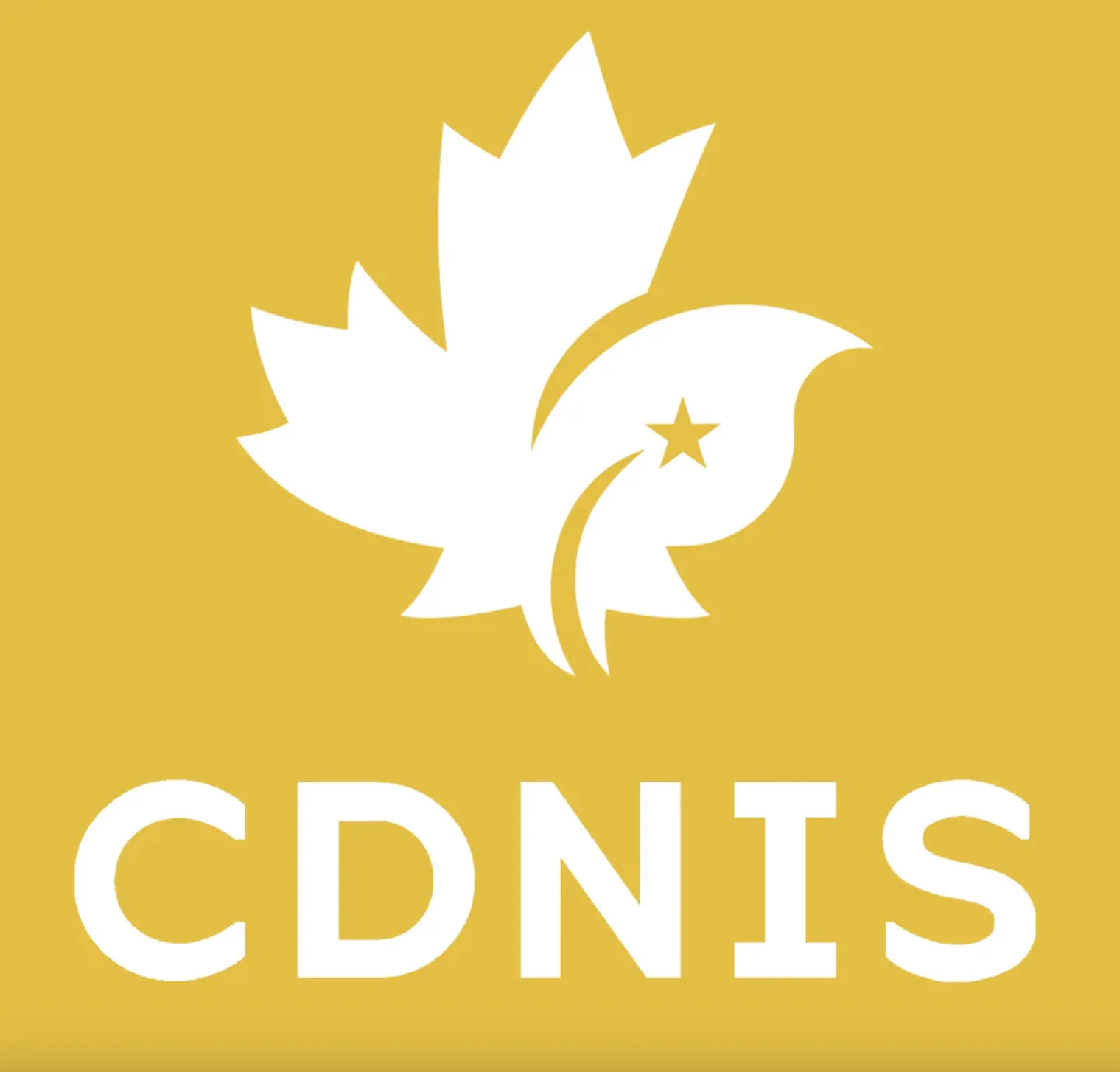 CDNIS Yellow House Short Sleeve PE Top