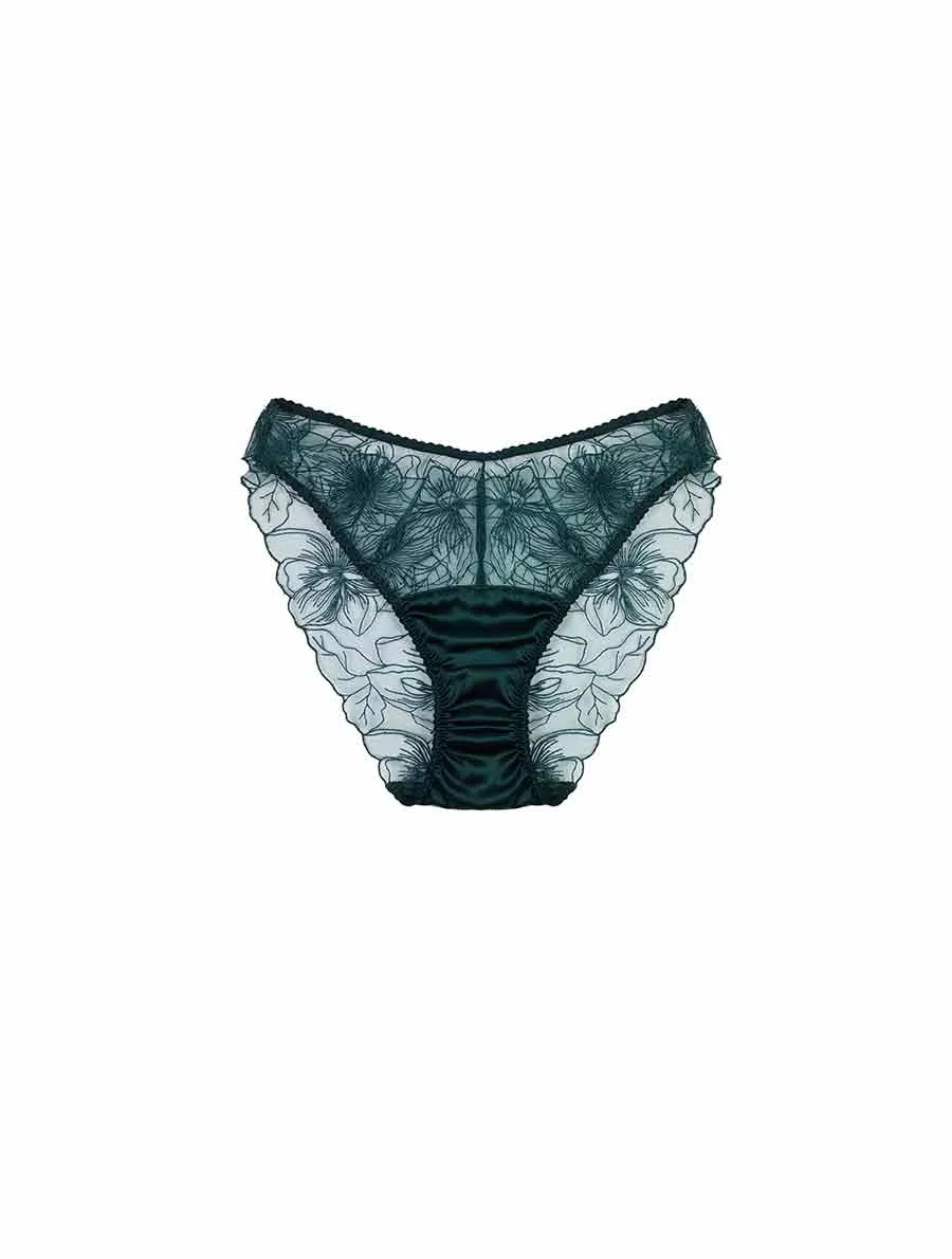 Eva Brief