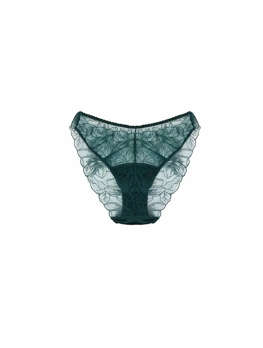 Eva Brief